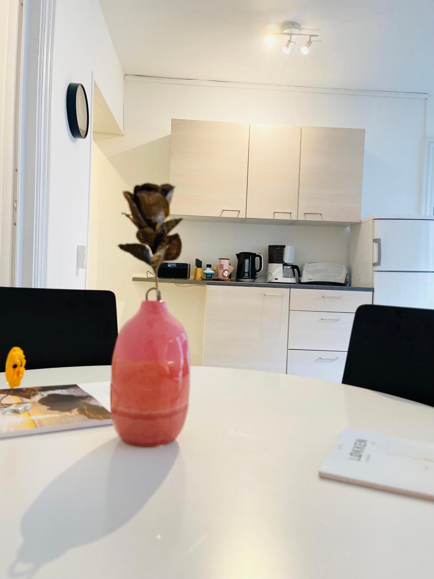 Scandinavian Apartment Hotel -Lunden 2- Central 2 Room Apartment Horsens Dış mekan fotoğraf